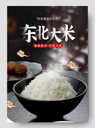 传统美食中国风东北大米详情描述大米详情页
